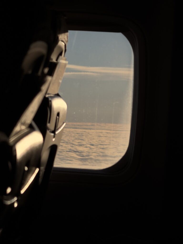 panic attack on airplane